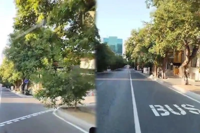 Bakıda bəzi ağaclar avtobusların hərəkətinə mane olur