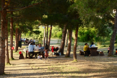 Xətaidəki Nizami parkında acı mənzərə - VİDEO