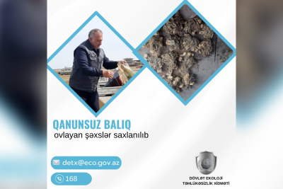 Xəzərdə qanunsuz balıq ovlayanlar cəzalandırılıblar