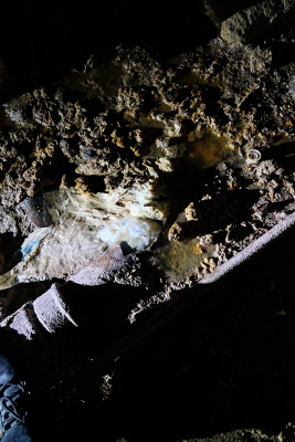 “Üfunətdən binaya girə bilmirik” - “Azərsu”dan ŞİKAYƏT - FOTO 