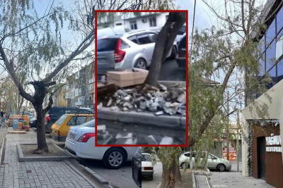 Biləcəridə səkilər zibilliyə çevrilib, ağaclar qurudulub - Rəsmi qurumdan iddiaya CAVAB 
