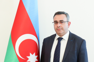 Səhiyyə nazirinin müavini: "Semaşko" modeli sovet dövründə yaxşı işləyirdi