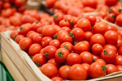 Virus aşkarlanan pomidor məhsulu partiyası məhv edilib