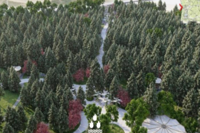 Yasamalda köhnə ağaclıq ərazidə park salınır