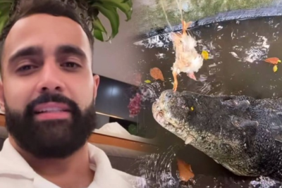 Hüseynin timsah qorxusu - Video