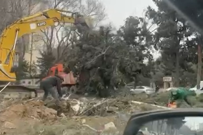 Keşlə bazarı ətrafındakı ağaclar niyə kəsilir?