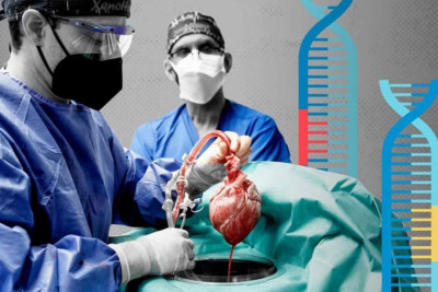 Azərbaycanda 100 nəfər öləndən sonra orqanlarını bağışlamaq İSTƏYİR