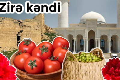 Pomidoruyla məşhur Zirə – Bakının kəndləri + VİDEO