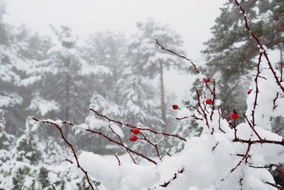 Bu gündən Azərbaycanda kiçik çillə başladı 