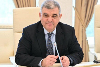 “Sinifdə bir şagird olsa belə, ona ayrıca müəllim dərs deməlidir” - Deputat