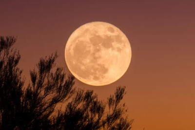 İlin ilk Ay tutulması başlayıb