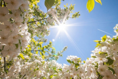 Bazar günü 24 dərəcə isti olacaq