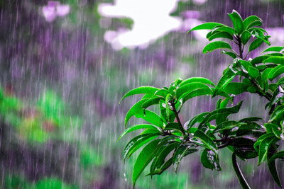 Sabah da yağış yağacaq