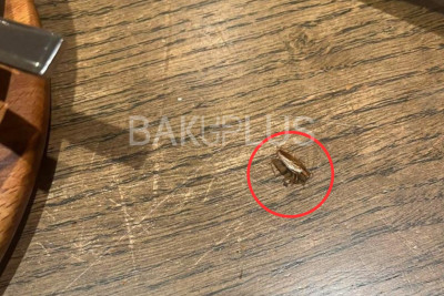 Müştəri restorandakı natəmizlikdən gileyləndi: “Yemək masasında tarakan gördük”