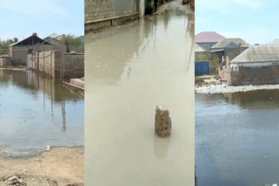 “Abşeronun bir çox yerində tikinti aparmaq olmaz” - PROFESSOR Elçin Əliyev