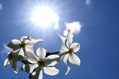 Şənbə günü Bakıda hava necə olacaq? 