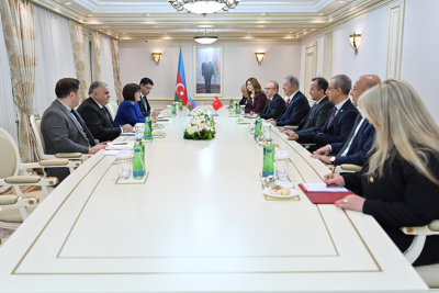 Sahibə Qafarova Hulusi Akar ilə görüşüb