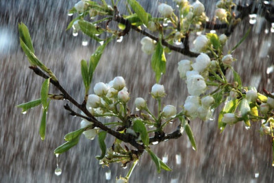Sabah hava dəyişəcək - Yağış, külək…