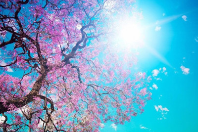 Sabah 28 dərəcə isti olacaq