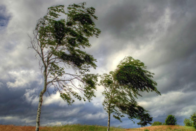 Bu gün hava küləkli olacaq - XƏBƏRDARLIQ