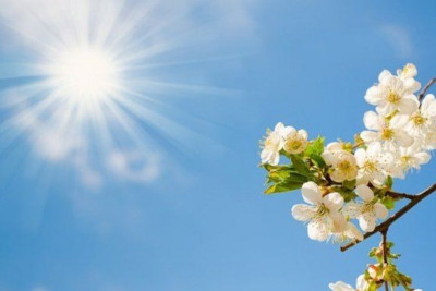 Bazar günü Bakıda 29 dərəcə isti olacaq