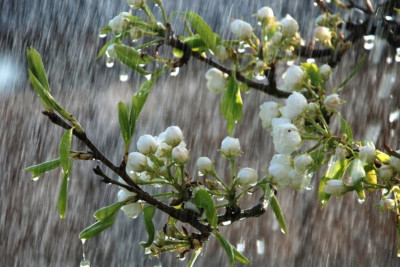 Sabah yağış yağacaq, şimşək çaxacaq