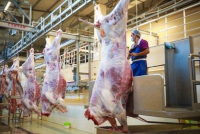 QURBANLIQ heyvanların satışı və kəsimi xidmətləri göstəriləcək ÜNVANLAR açıqlanıb