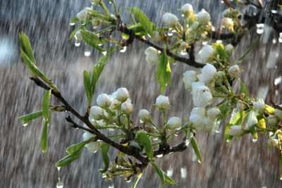 Sabah Bakıda yağış yağacaq
