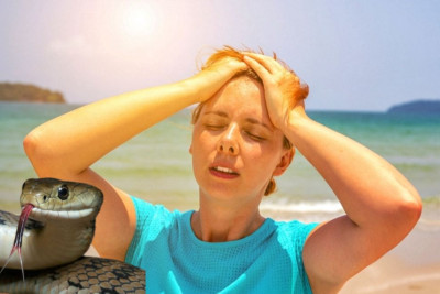 Toksikoloqdan xəbərdarlıq: “Özünüzü ilansancma, günvurma və zəhərlənmədən qoruyun”