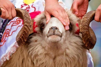 "Şəkəri və təzyiqi olanlara qurban payı əvəzinə pul verin" – İlahiyyatçı