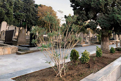 Qəbiristanlıqda 14 yaşlı qıza əxlaqsızlıq edənə 4 il həbs