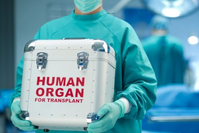 Cari ildə həyata keçirilən orqan transplantasiyası əməliyyatlarının nəticəsi açıqlanıb