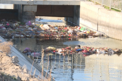 Artıq balıqlar, qurbağalar yoxdu" - Binə sakini