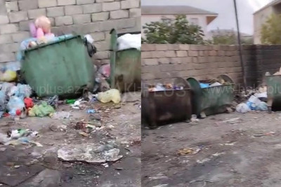 Masazırda zibil qabları aşıb-daşır - VİDEO