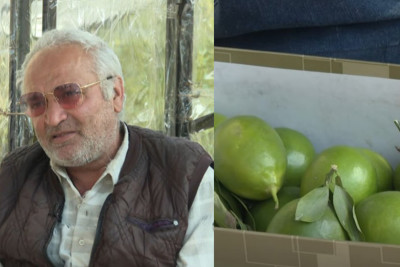 Bakıda limon satır, hesabında milyonu var