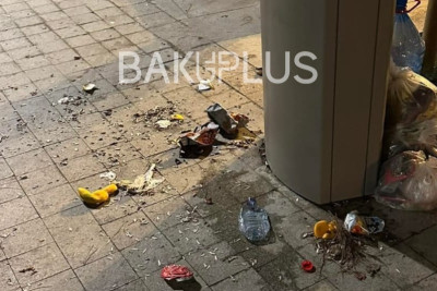 Yeni salınmış parkda ürəkağrıdan mənzərə - FOTO