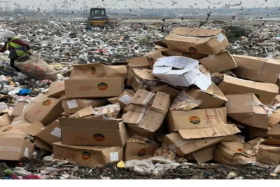 Azərbaycana gətirilən külli miqdarda çedar pendiri məhv edildi