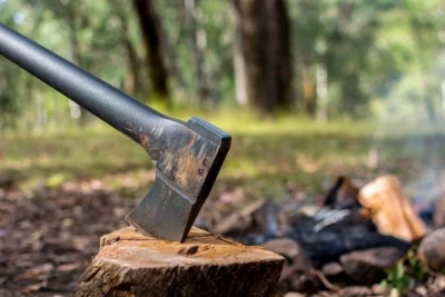 Xırdalanda ağacların kəsilməsi faktı araşdırılıb