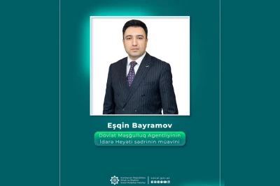 Dövlət Məşğulluq Agentliyinə yeni sədr müavini təyin edilib