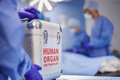 Bu il 60-a yaxın böyrək, 30-a yaxın qaraciyər transplantasiyası icra edilib