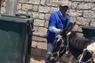Bakının bu ərazisində zibili eşşək arabası ilə yığırlar
